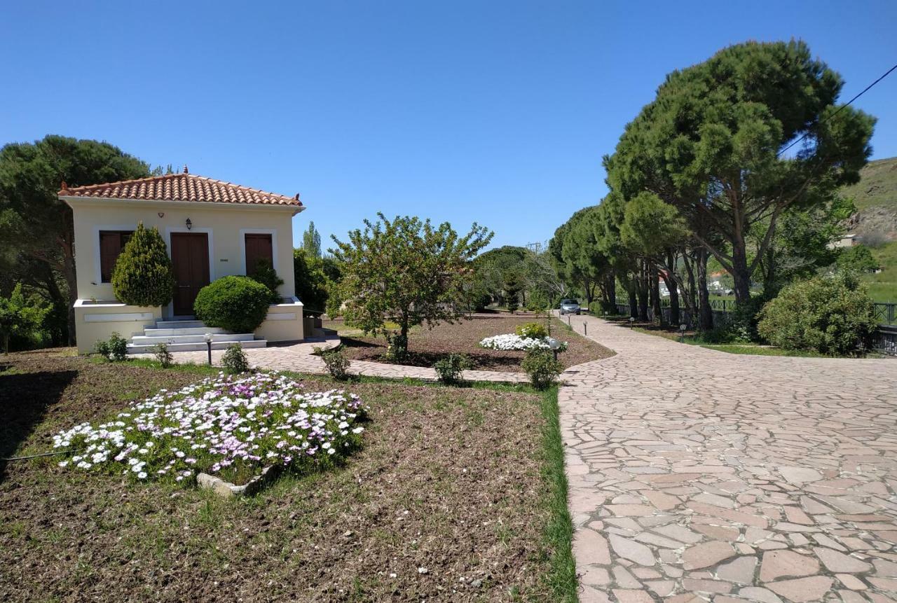 Gaea Gardens Studios & Villas Petra  Ngoại thất bức ảnh